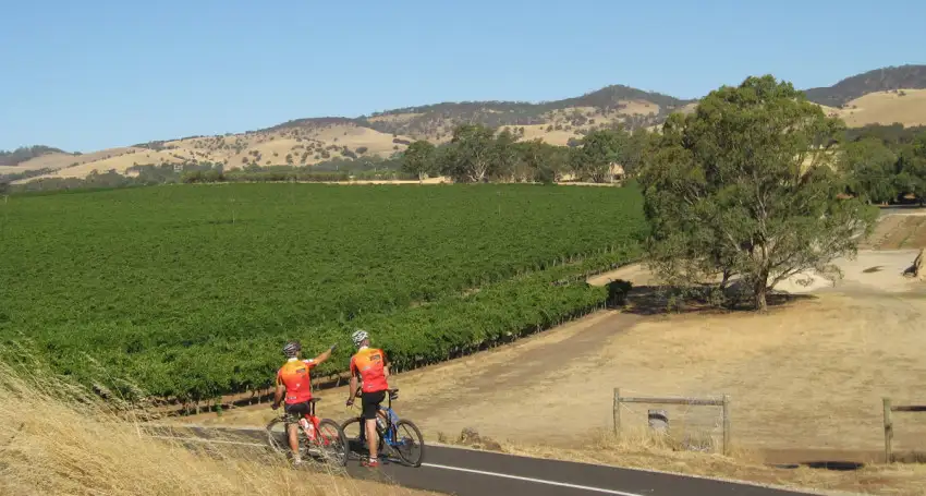 Cycling tour deal