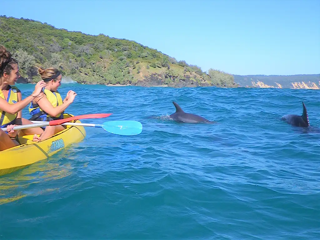 Noosa Dolphin View Sea Kayak & Beach 4X4 Adventure - Day Tour