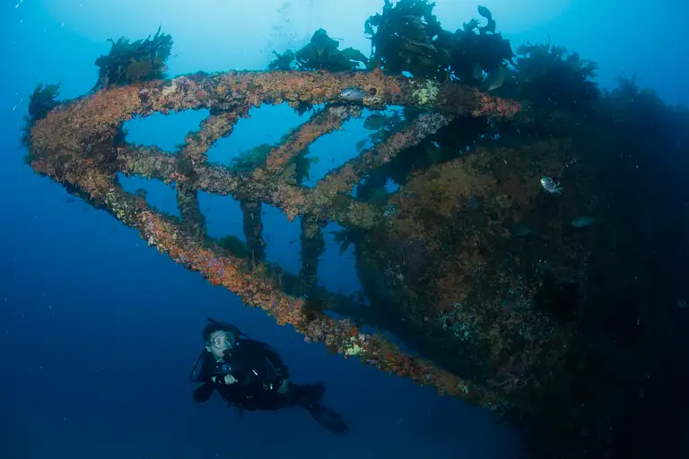 Rainbow Warrior Wreck deals