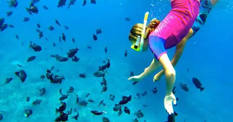 Snorkeling Hawaii deals