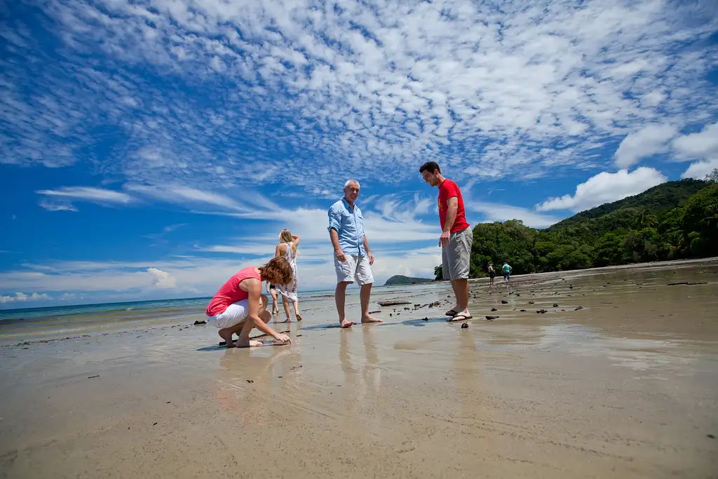 Cape Tribulation, Daintree, Mossman Gorge Day Tour