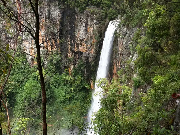 Natural Bridge & Springbrook Waterfalls Tour Special