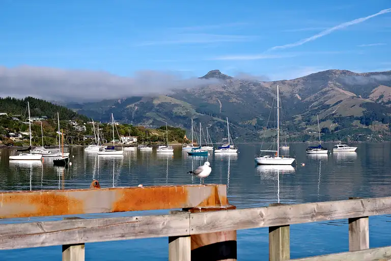 Scenic Akaroa Day Trip from Christchurch