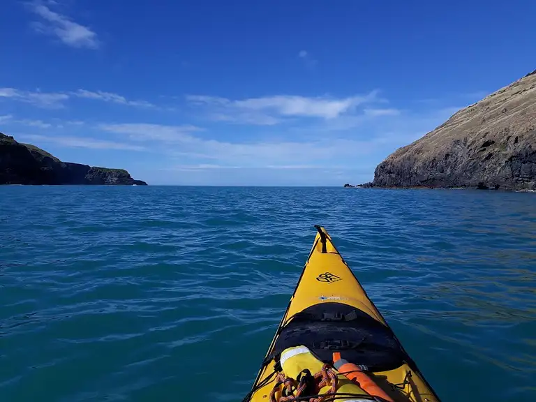 potahu penguins kayak