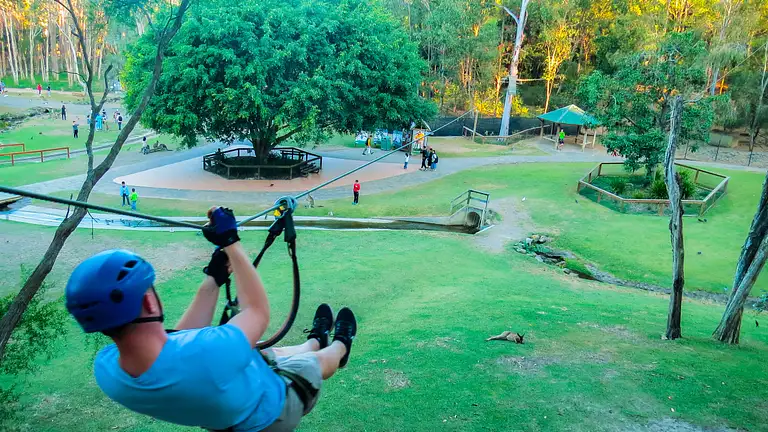 Treetop Challenge Currumbin Wildlife Sanctuary Discount