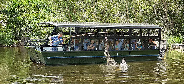 Hartley's Crocodile Adventures