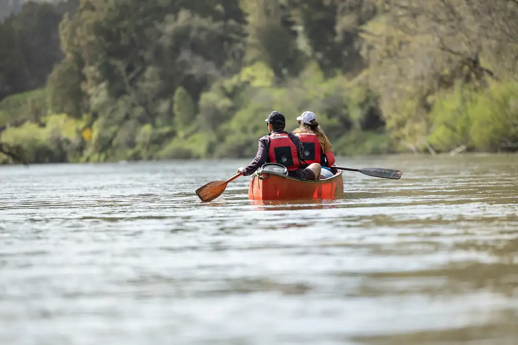 3-Day Whanganui River Freedom Paddle with Free Accommodation the Night Prior