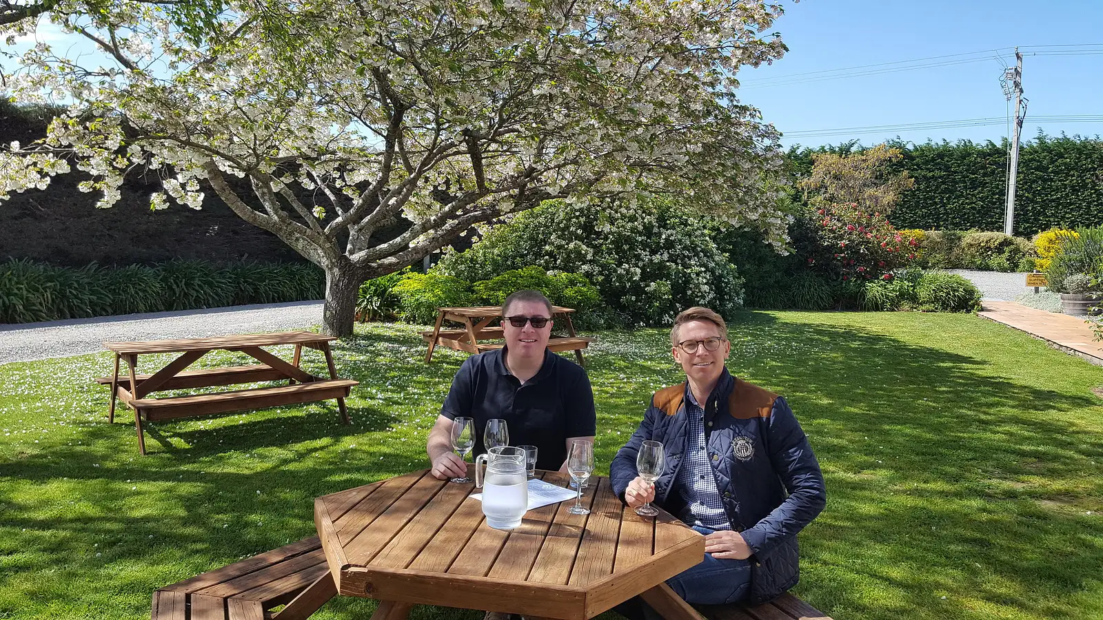 martinborough wine tours
