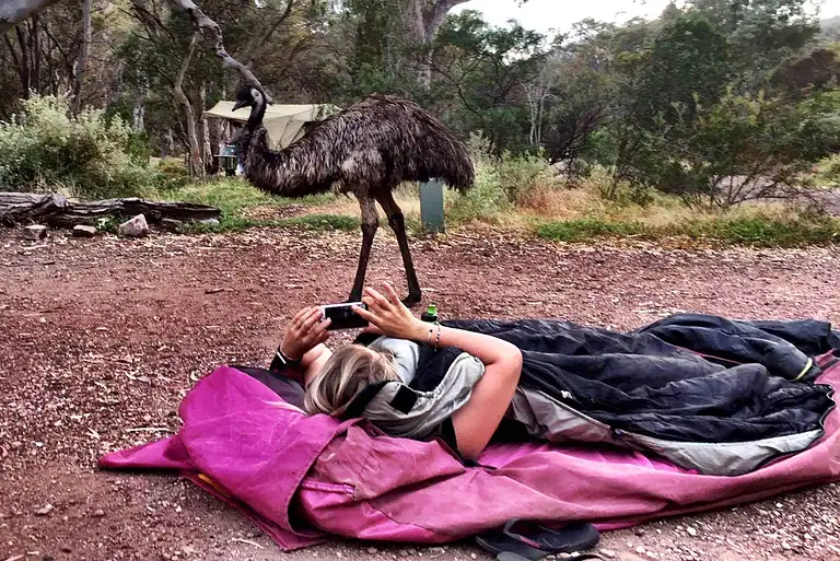 Margaret River and Esperance Camping Tour