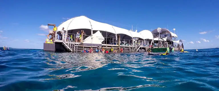 Great Barrier Reef Tour