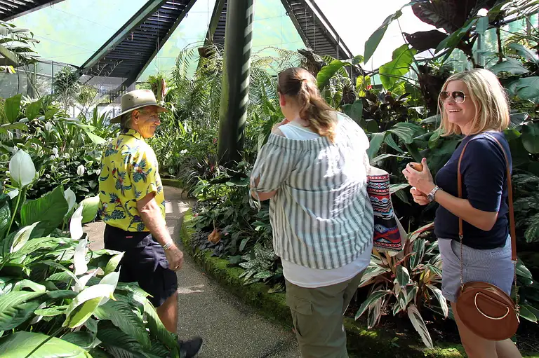 Cairns City Tour