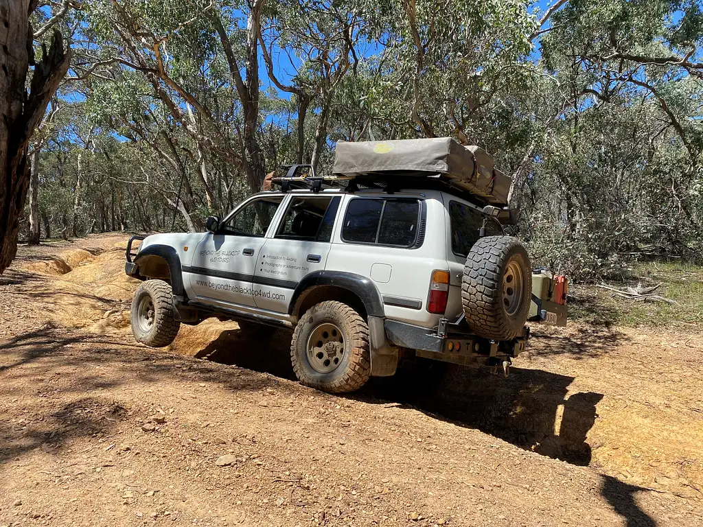 blue mountains guided day tours