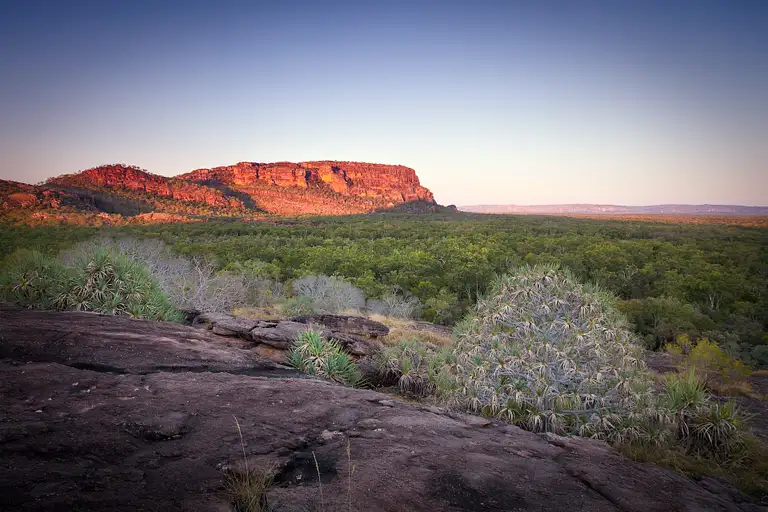 Kakadu National Park tours from Darin 5 days