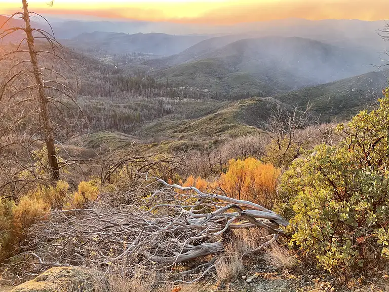 sunset bbq and stargazing tours yosemite