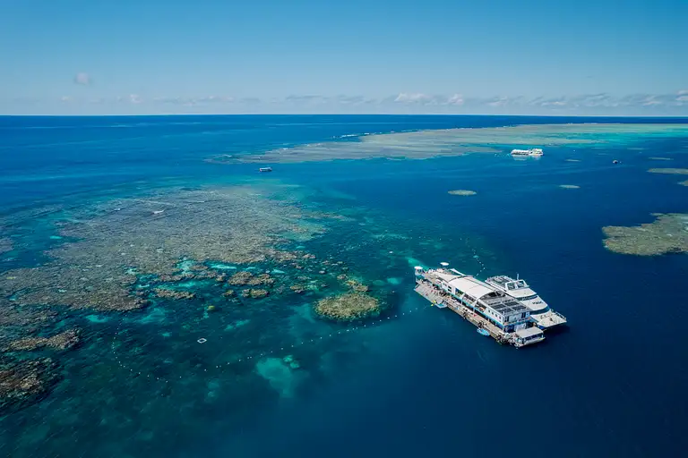 Reef Magic Cruises
