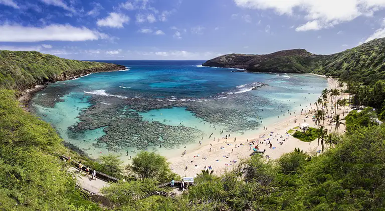 Oahu Food Tour Sites and Bites