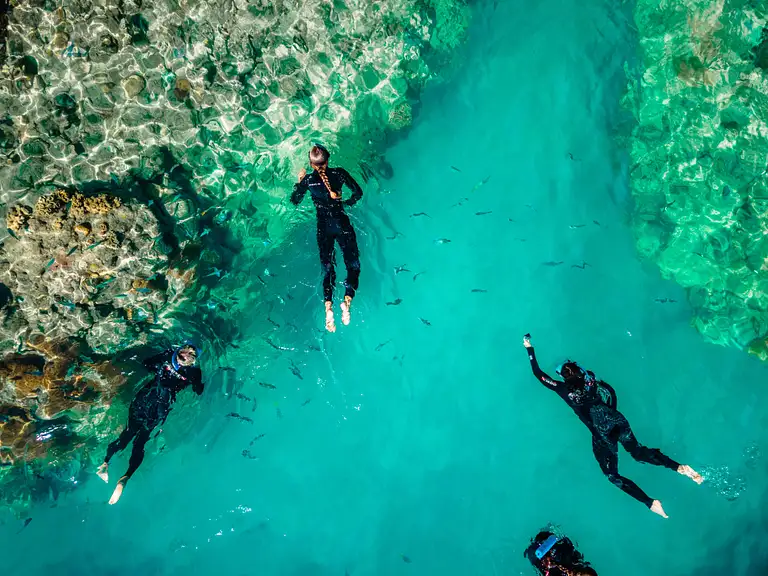 Snorkelling on Avatar