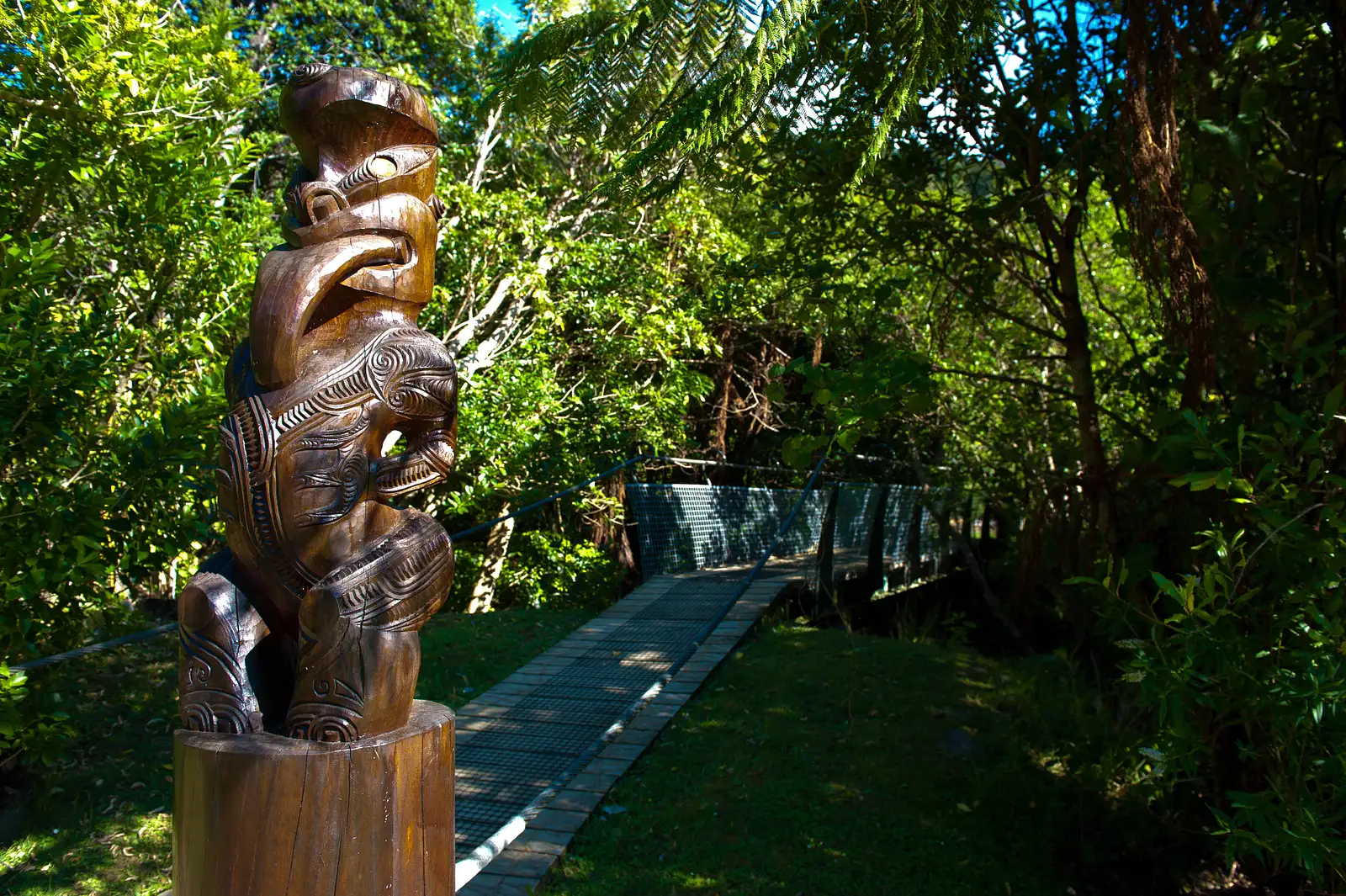 Queen Charlotte Track Walk