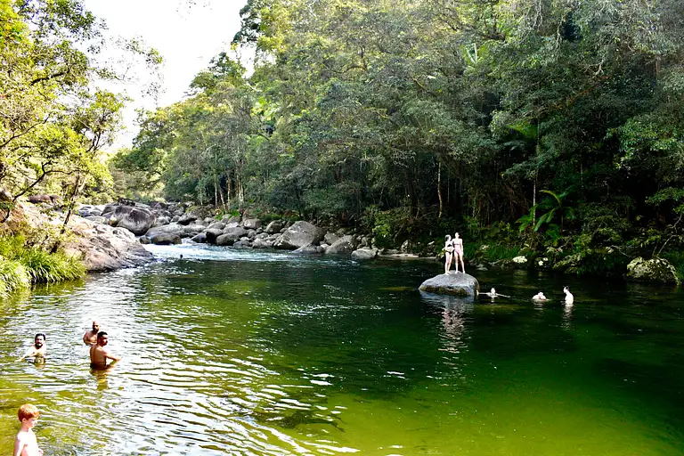 Scenic View of Lake Eacham Crater Lake Swim Experience