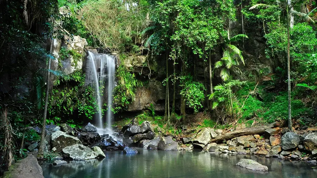 The Tastes of Tamborine Mountain