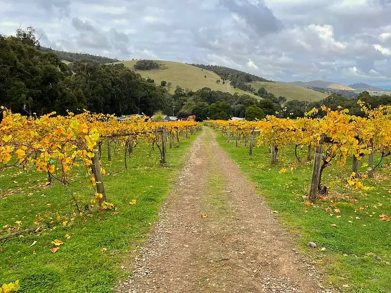 Yarra valley tours