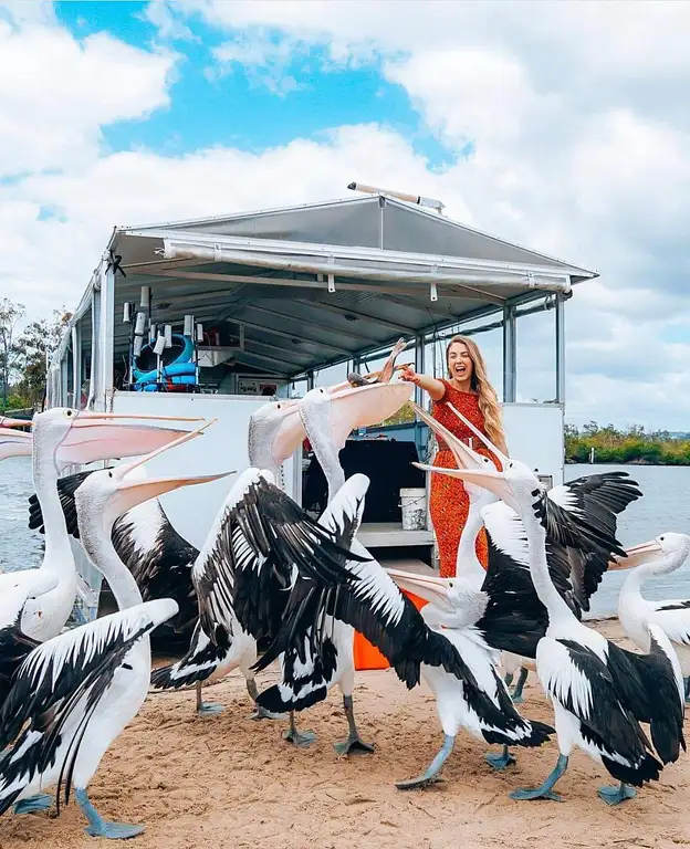 BBQ Pontoon Boat Gold Coast