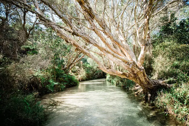 Fraser Island tour