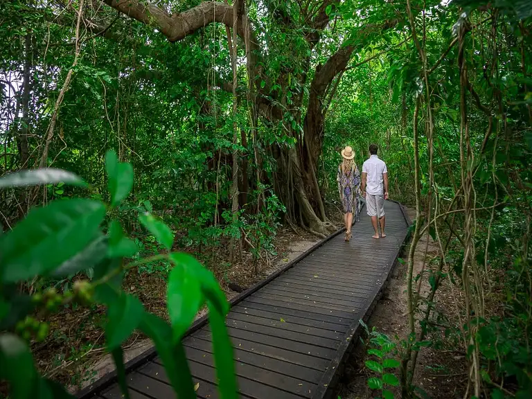 Great Barrier Reef & Green Island Adventure Deals