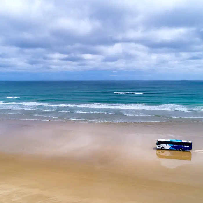 cape reinga driving tour multilingual