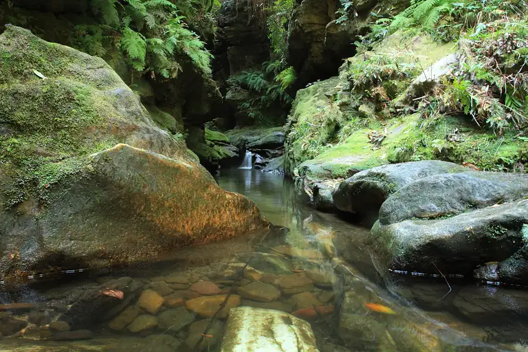 Blue Mountains Abseiling & Canyoning Combo Deals