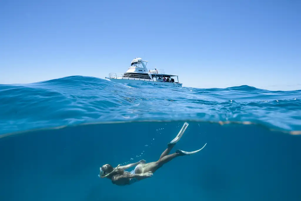 Great Barrier Reef Day Trip | Snorkel & Cert Dive Options