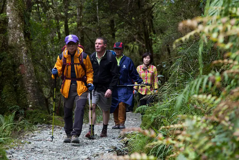 Routeburn track guided walk from Te Anau tour