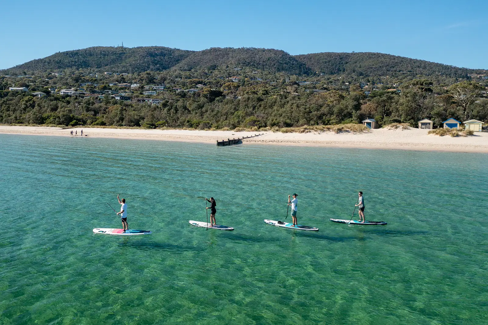 Tours at Mornington Peninsula