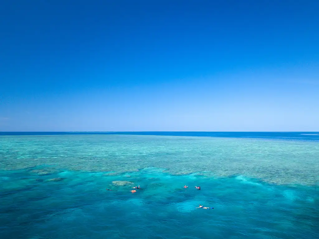 SeaQuest Day Trip | Snorkel & Dive Options
