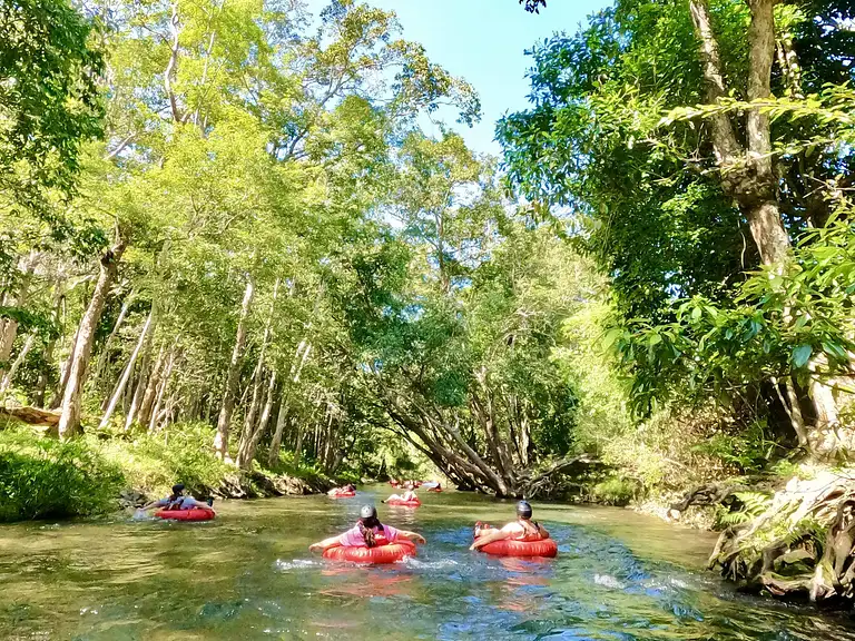 Floating Through Tropical Rainforest Rivers in Cairns