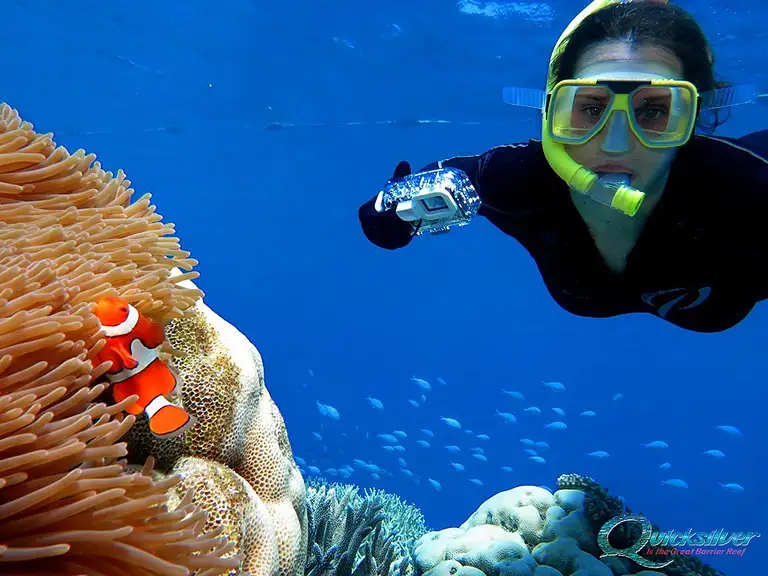 Great Barrier Reef cruise