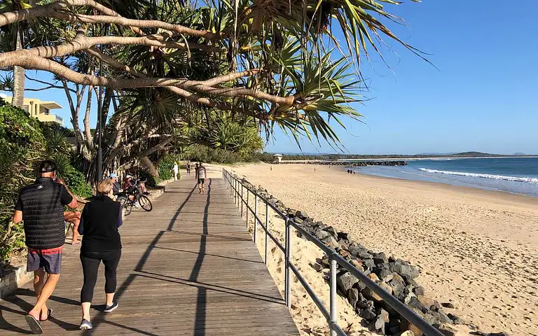 Noosa Everglades Cruise & Highlights Tour Inc. Lunch deals