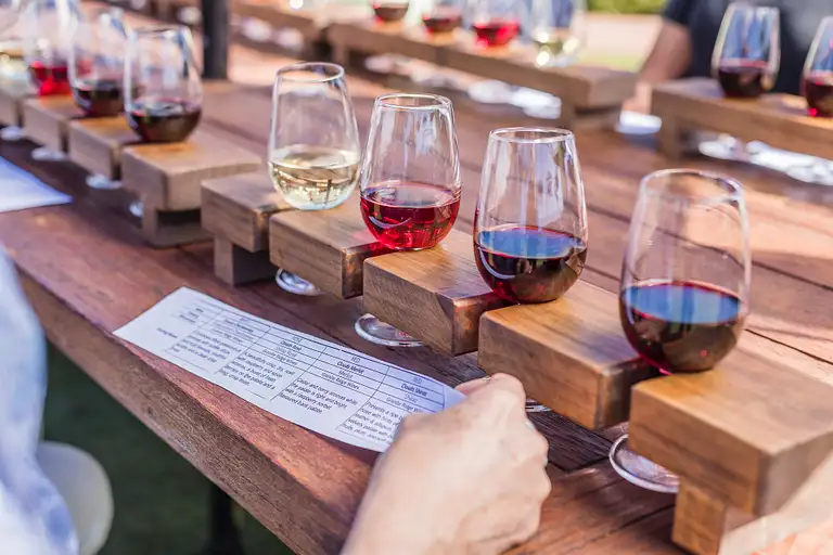 wine experiencetour