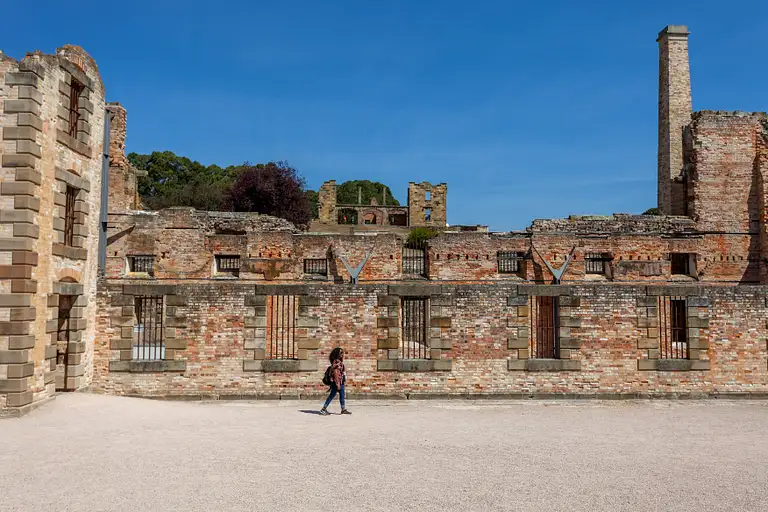 Port Arthur And Lavender Farm Tour