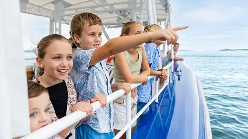 2.5 Hour Cruise with Culture Jellurgal Walkabout Tour