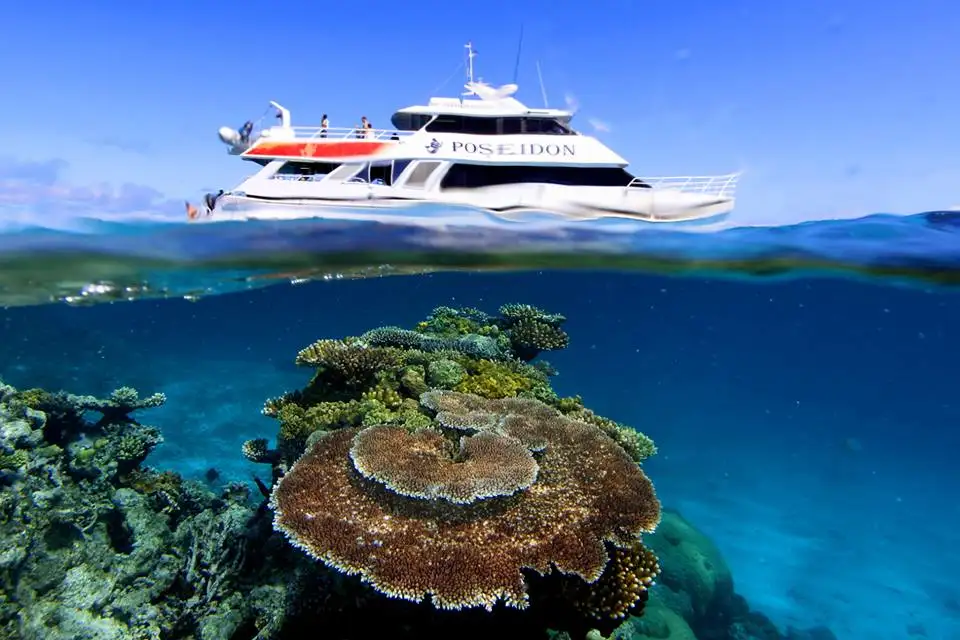 Poseidon Outer Reef Snorkel | Intro Dive | Cert Dive  - Port Douglas