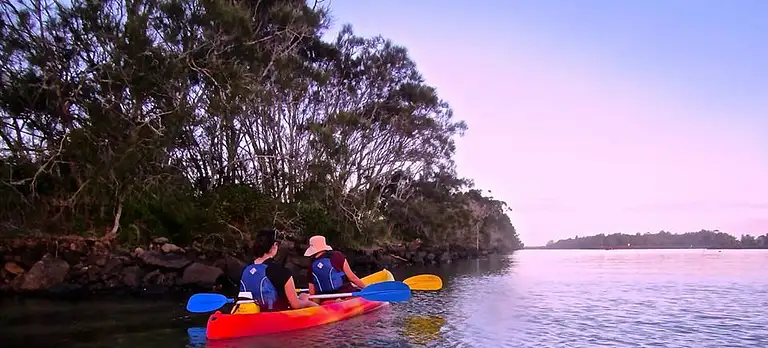 brunswick river kayak tour