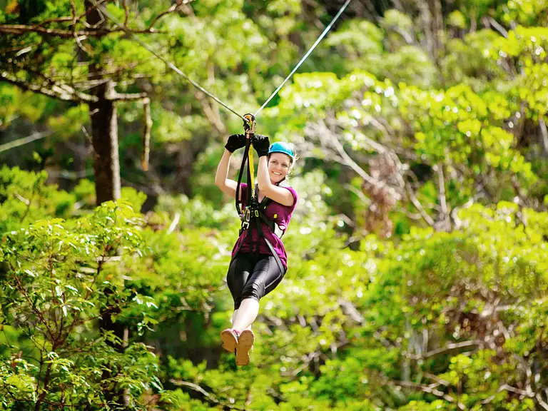 Canyon Flyer Mount Tambourine Deals