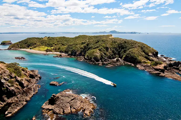 Bay of Islands Ocean Adventure Cruise from Paihia