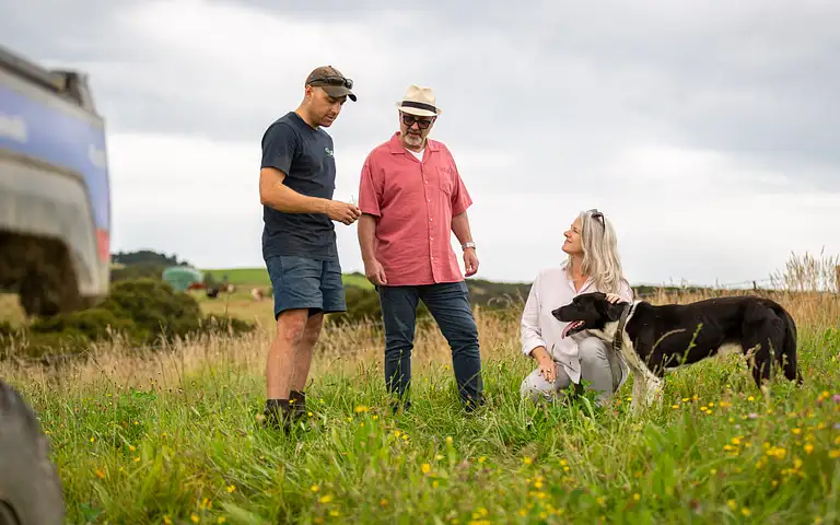 farm tours cheviot