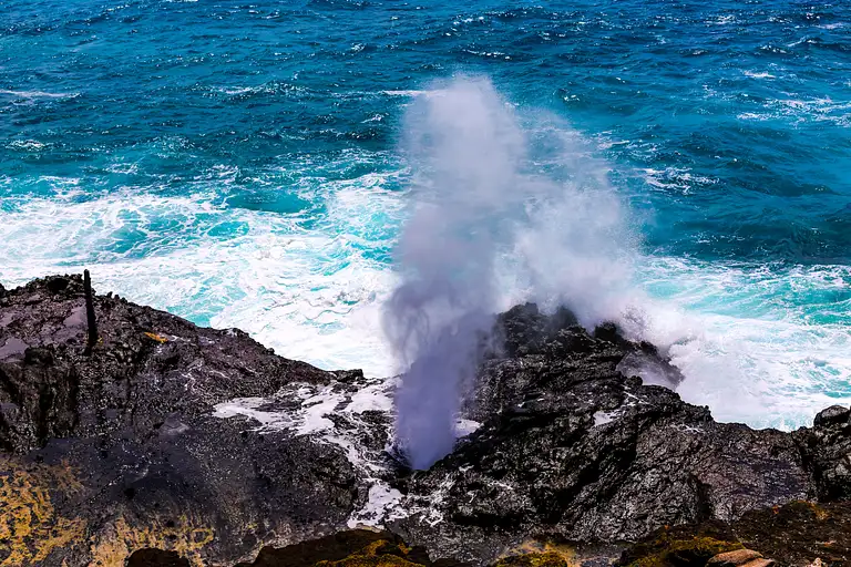 Oahu Island Tour