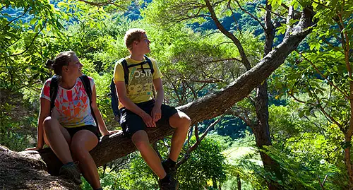 Queen Charlotte Track Walk from Torea Bay to Mistletoe Bay