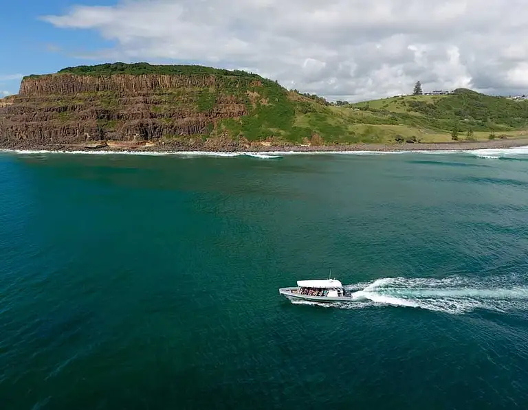 dolphin cruises byron bay