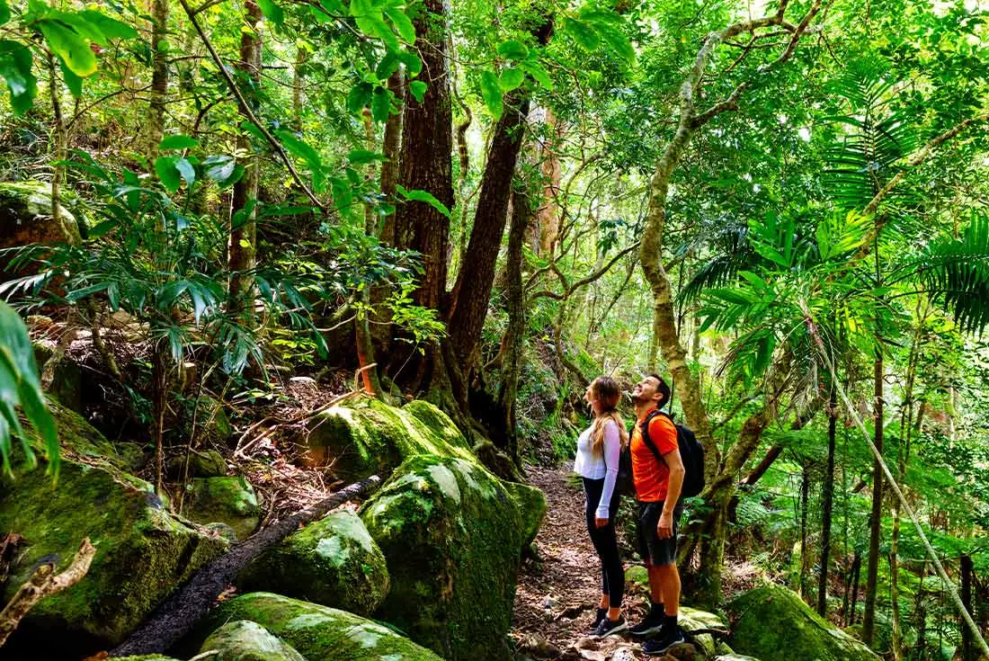 5 Day Walk Queensland's Scenic Rim
