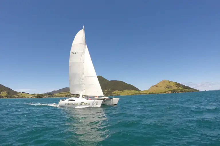 Bay of Islands Sundowner Cruise deals